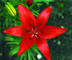 Foto: Gerhard Steinbrück